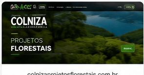 Projeto Colniza Projetos Florestais